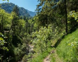 Wanderung "Alpgarten Rundweg"
