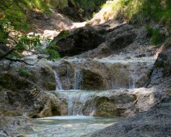 Wanderung "Alpgarten Rundweg"