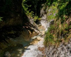 Wanderung "Alpgarten Rundweg"