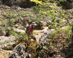 Wanderung "Alpgarten Rundweg"