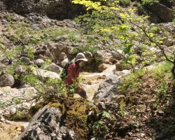 Wanderung "Alpgarten Rundweg"