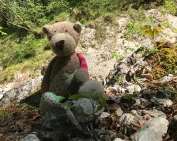 Wanderung "Alpgarten Rundweg"