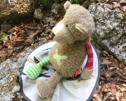 Wanderung "Alpgarten Rundweg"