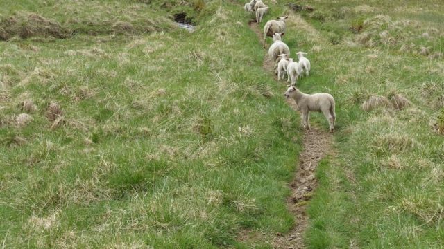 Wanderung Brattflogan