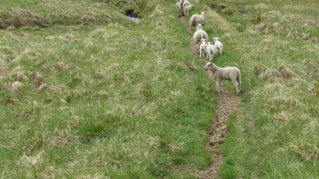Wanderung Brattflogan