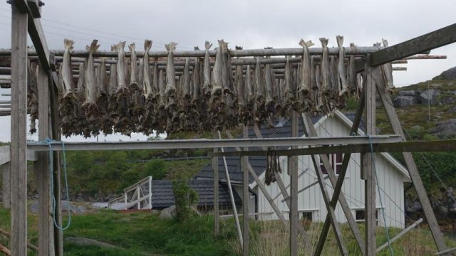 Wikinger-Museum und Ballstad