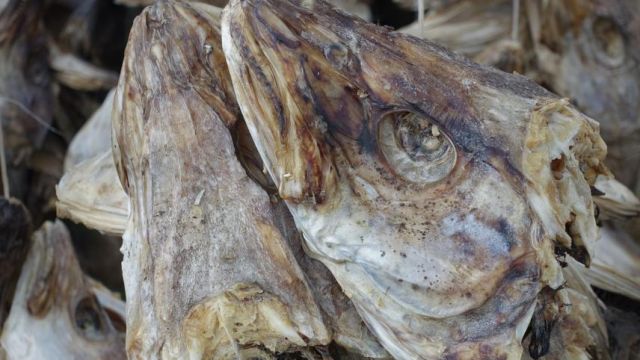 Wikinger-Museum und Ballstad