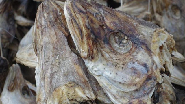 Wikinger-Museum und Ballstad