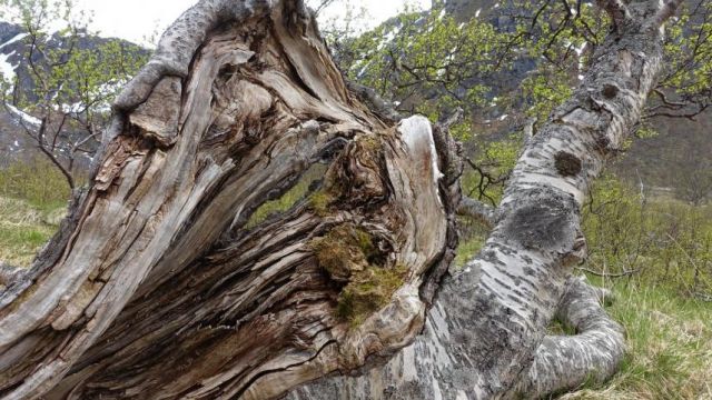 Wanderung Matmora "Mutter der Nahrung"