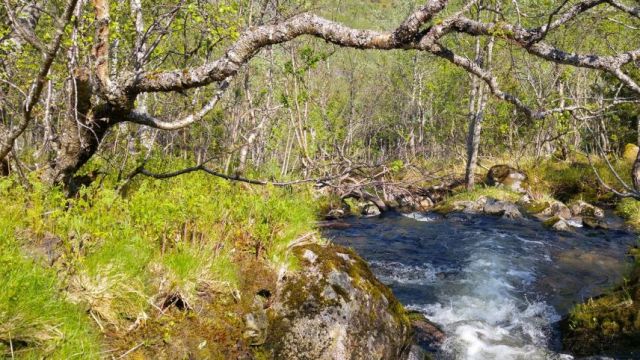 Wanderung Nokksaetra