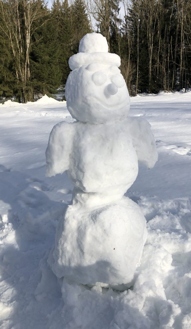 Der Schneemann