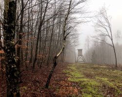 Videoclip 4 HemingwayTrail_4