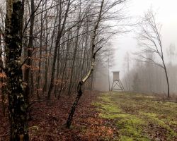 Videoclip 4 HemingwayTrail_4